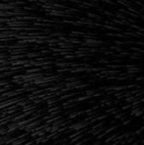 Meet your Posher, Brenton